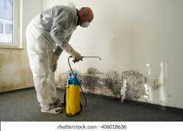 Best Water Damage & Mold Remediation in Chester, WV